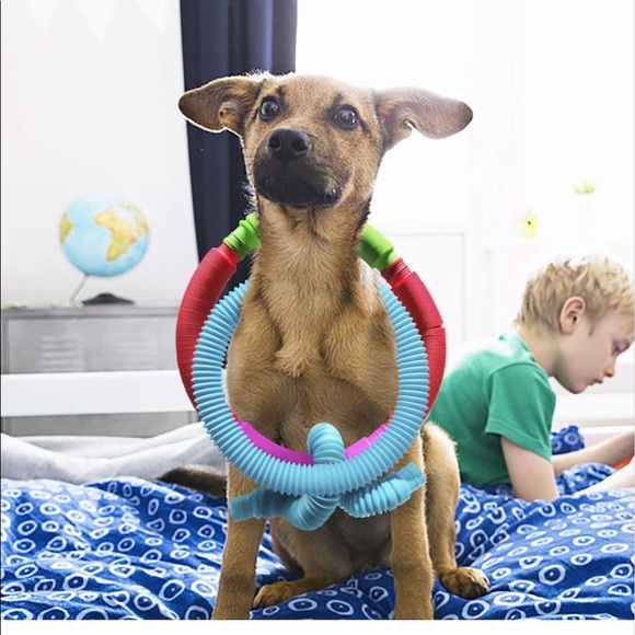 💖 2 FIDGET POP TUBES 💖 - Picture 5 of 5